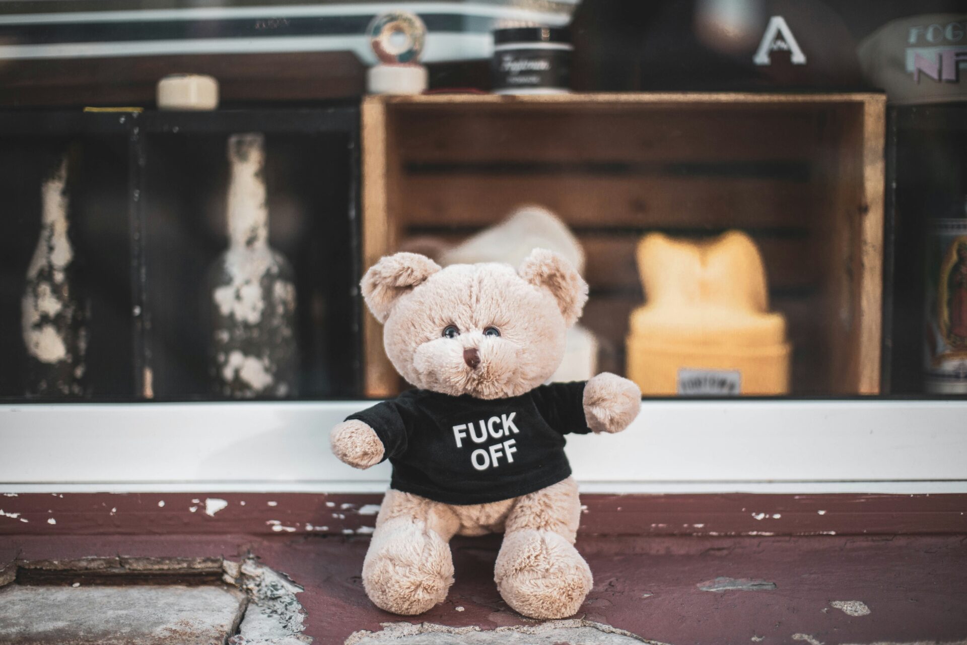 A teddy bear faces the camera wearing a black tee shirt with the words "fuck off."